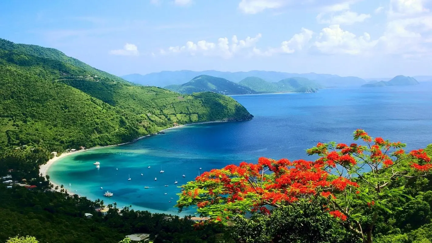 绿色高精度